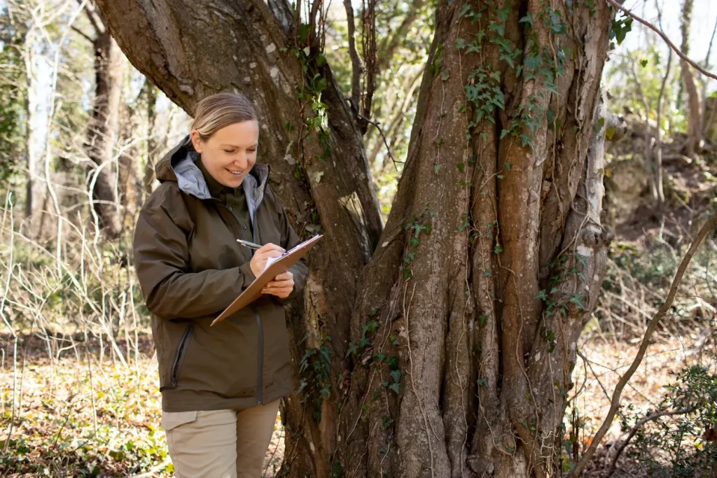 Tree Health Assessment Newcastle