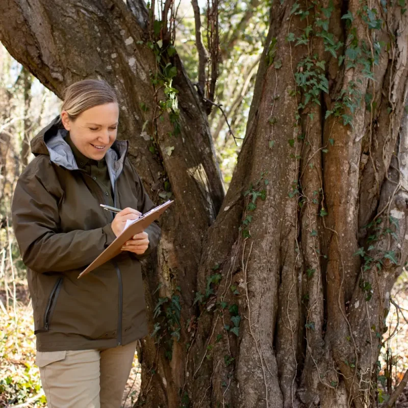Tree Health Assessment Newcastle