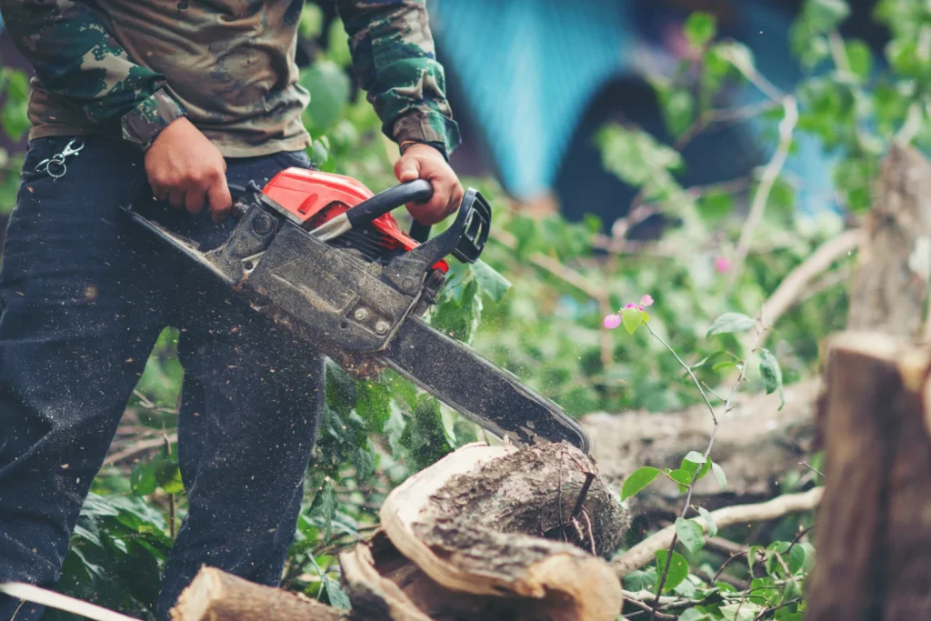 Tree Service in Newcastle